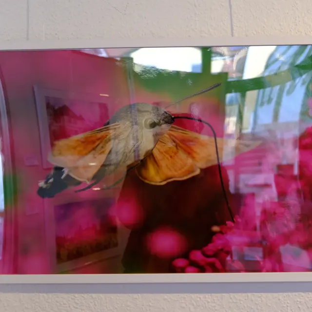 Foto: Eduard Warenik