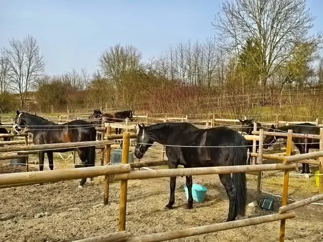 Foto: Heidrun Rosenberger