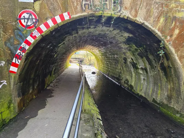 Foto: Heidrun Rosenberger