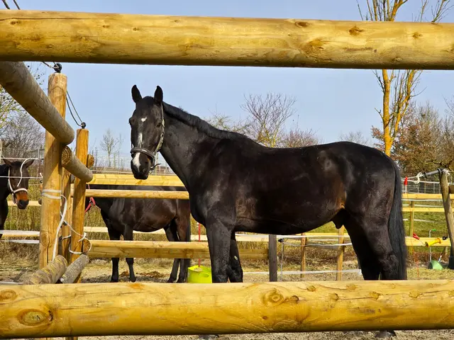 Foto: Heidrun Rosenberger