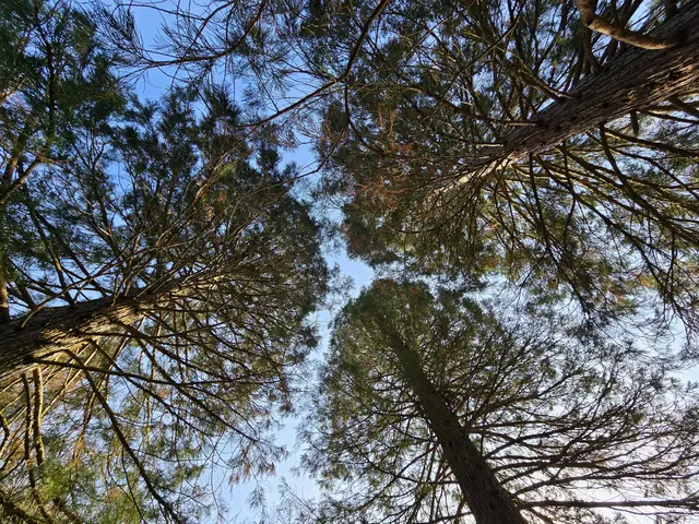 Foto: Heidrun Rosenberger