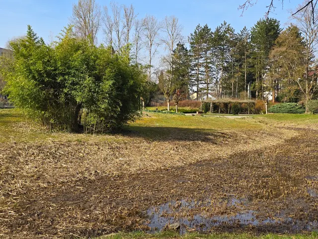 Foto: Heidrun Rosenberger