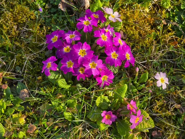 Foto: Heidrun Rosenberger