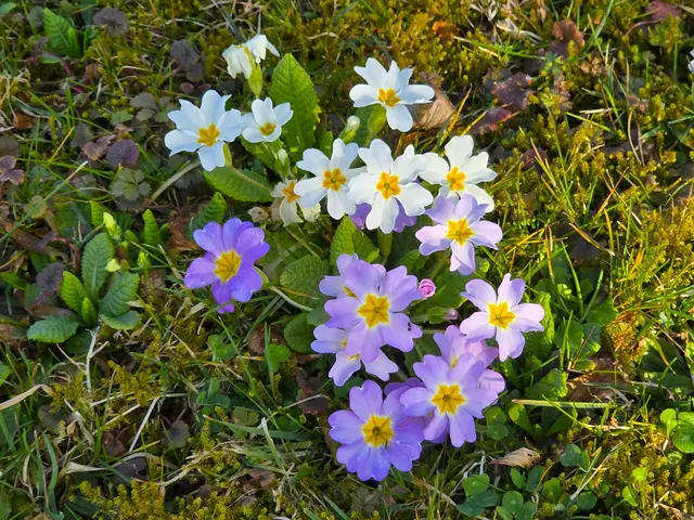 Foto: Heidrun Rosenberger