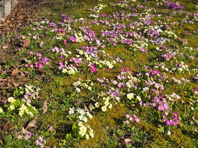 Foto: Heidrun Rosenberger