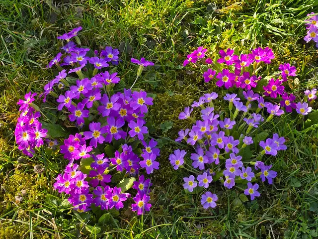 Foto: Heidrun Rosenberger