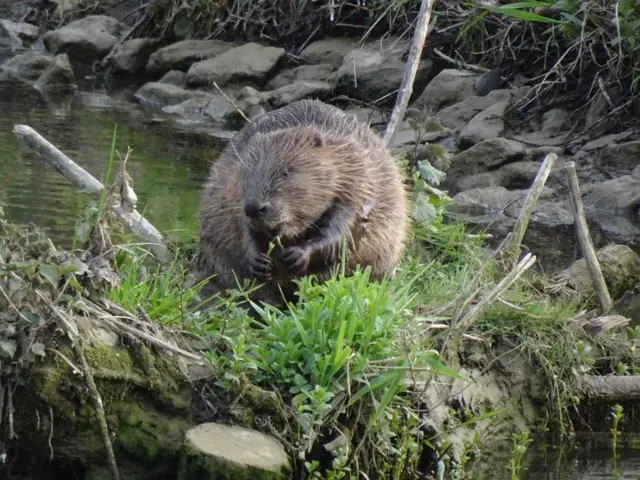 Foto: Wolf-Dieter Riexinger