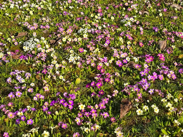 Foto: Heidrun Rosenberger