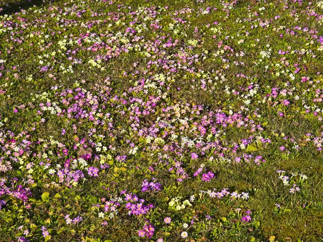 Foto: Heidrun Rosenberger