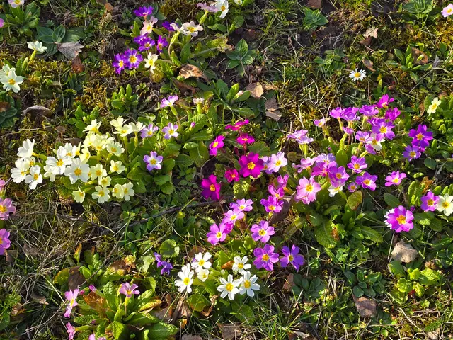 Foto: Heidrun Rosenberger