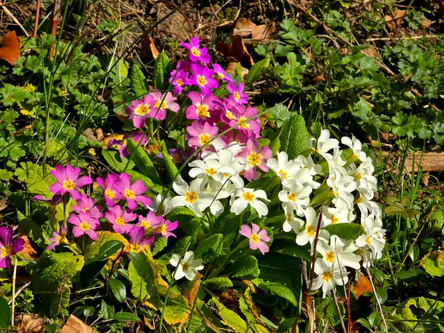 Foto: Heidrun Rosenberger