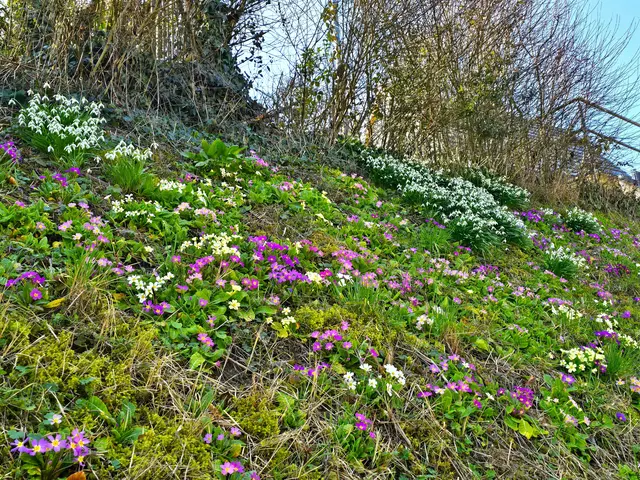 Foto: Heidrun Rosenberger