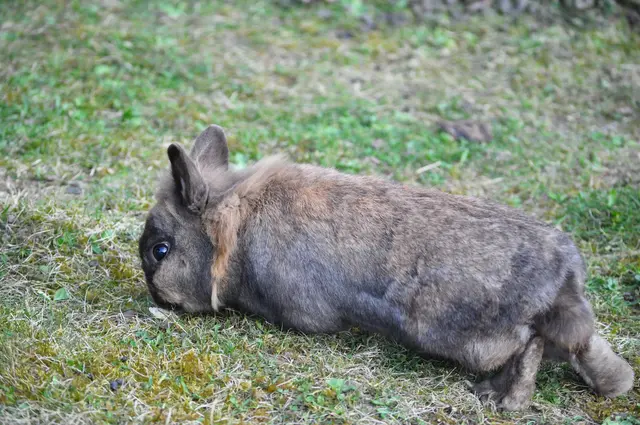 Da wird jedes Kräuterchen untersucht. | Foto: Daniela Somers
