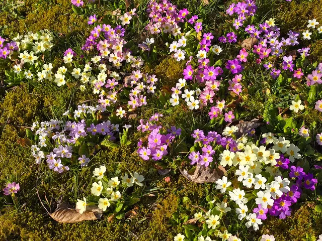Foto: Heidrun Rosenberger