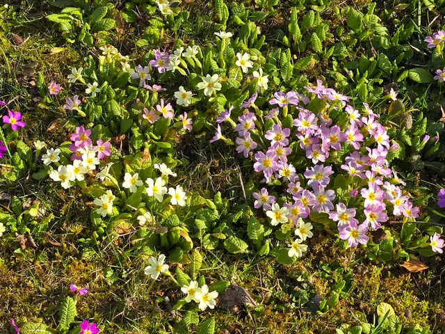 Foto: Heidrun Rosenberger