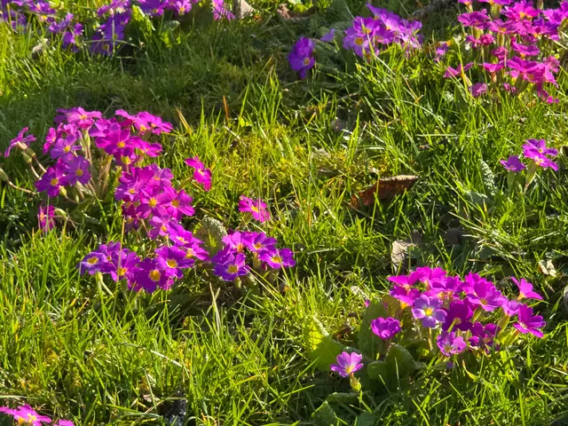 Foto: Heidrun Rosenberger