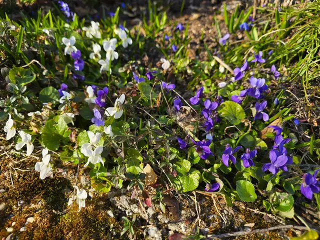 Foto: Heidrun Rosenberger
