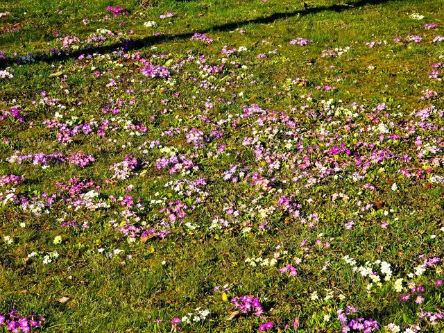 Foto: Heidrun Rosenberger
