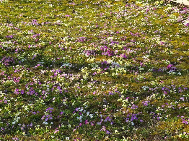 Foto: Heidrun Rosenberger