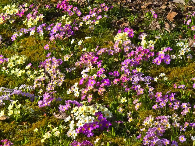 Foto: Heidrun Rosenberger