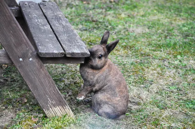 Nach was riecht es hier denn? | Foto: Daniela Somers