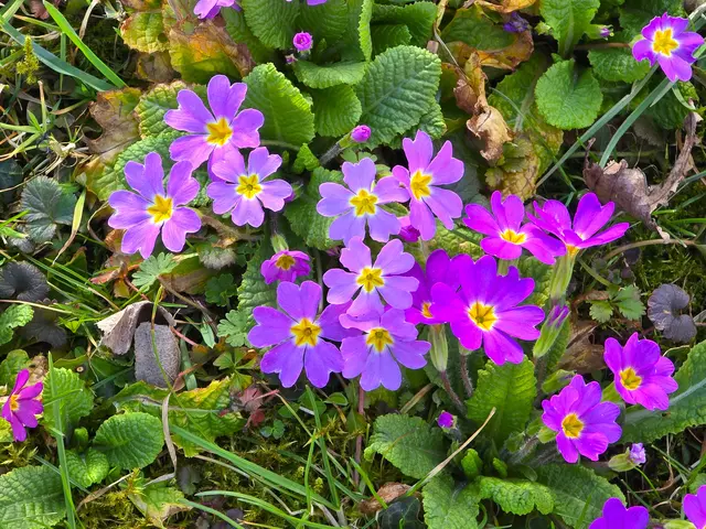 Foto: Heidrun Rosenberger