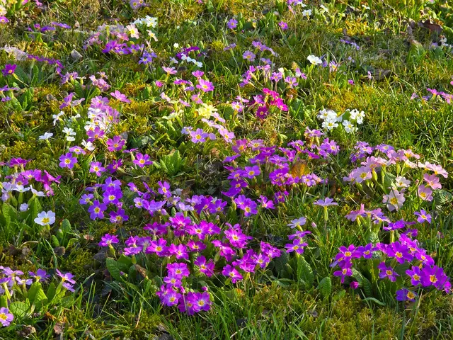 Foto: Heidrun Rosenberger