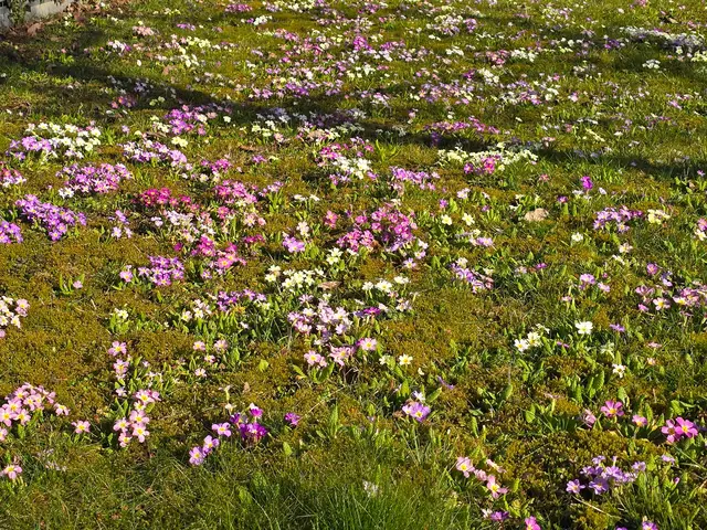 Foto: Heidrun Rosenberger