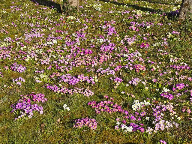 Foto: Heidrun Rosenberger