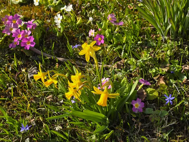 Foto: Heidrun Rosenberger