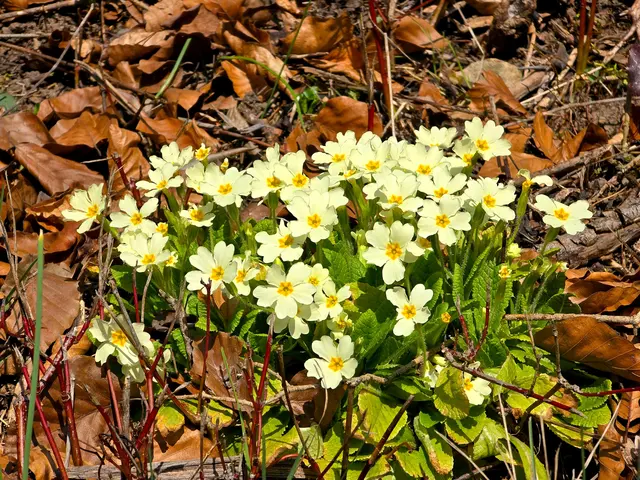 Foto: Heidrun Rosenberger