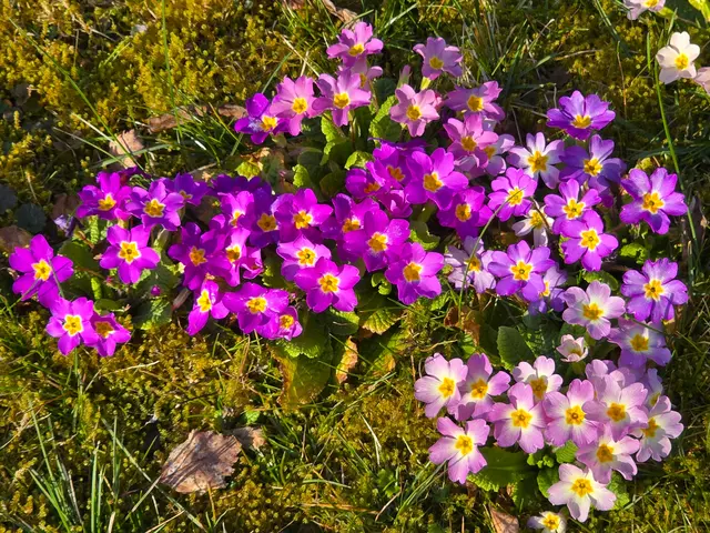 Foto: Heidrun Rosenberger