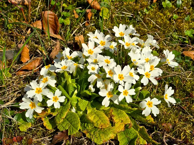 Foto: Heidrun Rosenberger