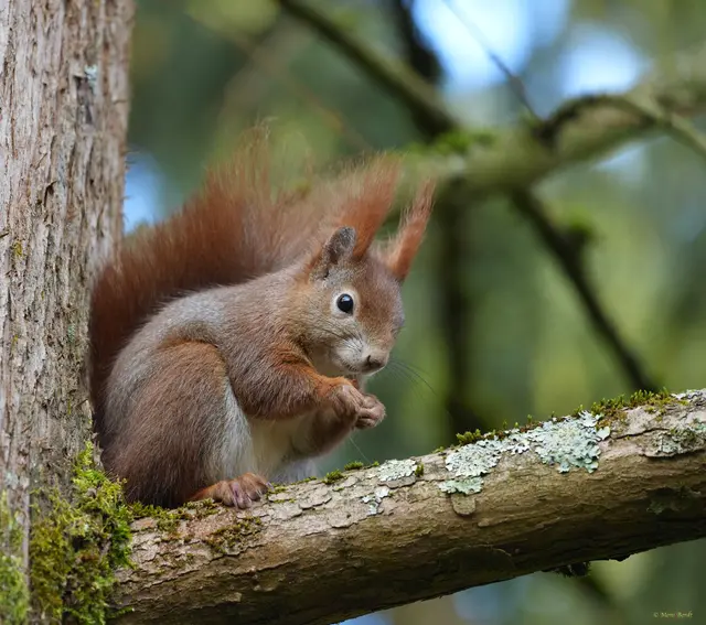 Von oben sieht die Welt viel besser aus... | Foto: Moni Bordt