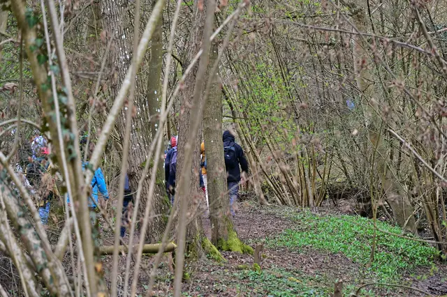 Der Bärlauch ist schon kräftig im kommen. Aber Achtung: im Köpfertal ist das Pflücken verboten! | Foto: Michael Harmsen