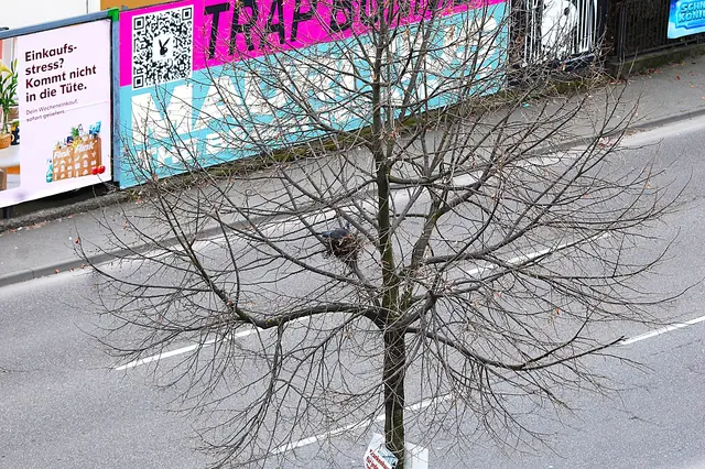 Die Mannheimer Strasse. | Foto: Heidrun Rosenberger