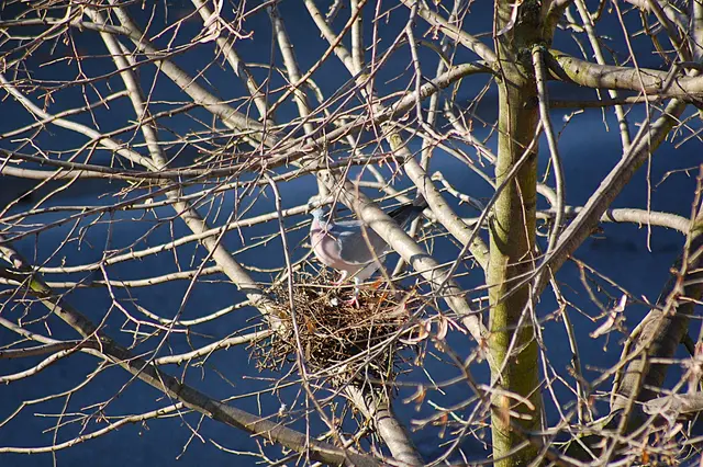 Foto: Heidrun Rosenberger