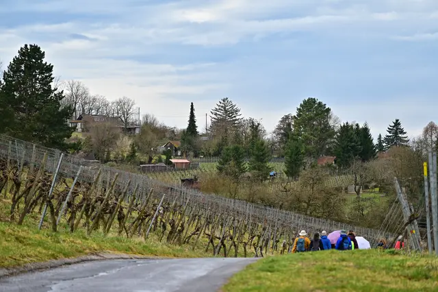 Von 44 gestarteten Teilnehmern sind 16 übrig geblieben um die große Variante zu laufen. | Foto: Michael Harmsen