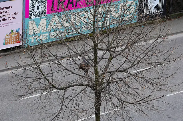 Foto: Heidrun Rosenberger