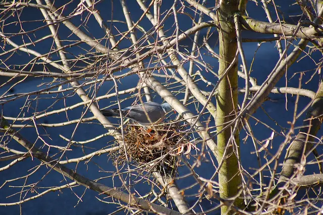 Schön, es zeigt sich auch mal die Sonne. | Foto: Heidrun Rosenberger