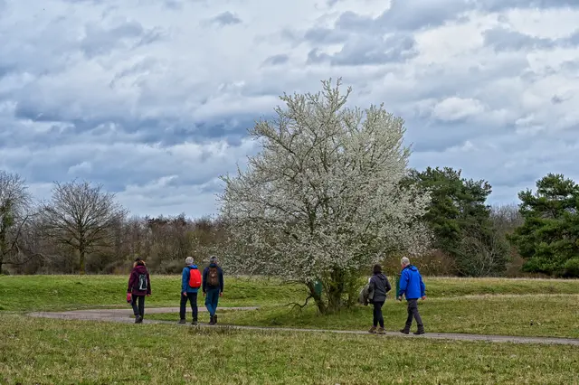 Es blüht auf der Waldheide. | Foto: Michael Harmsen