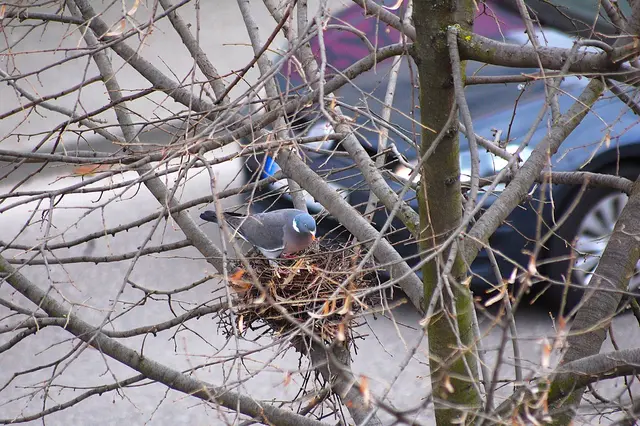 Eine fünfspurige Hauptverkehrsstrasse in Heilbronn. | Foto: Heidrun Rosenberger