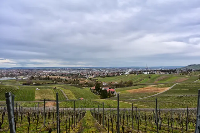 Blick auf Heilbronn. | Foto: Michael Harmsen