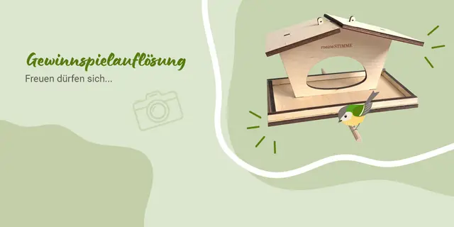 Die Gewinner des meine.stimme-Vogelhäuschens stehen fest.  | Foto: HSt-Grafik