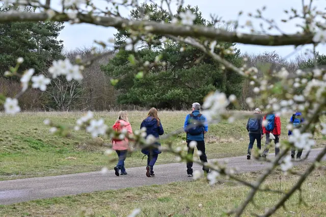 So schön kann wandern mit dem Schwäbischen Albverein Weinsberg sein. | Foto: Michael Harmsen