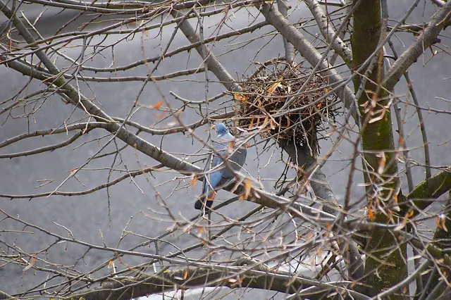 Zwischendurch mal eine Pause. | Foto: Heidrun Rosenberger