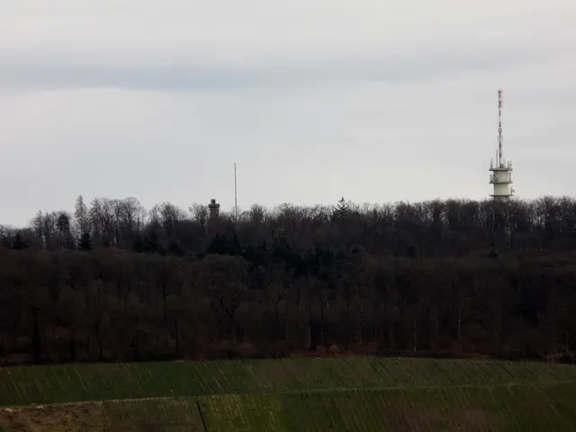 Noch kann man den Schweinsbergturm sehen und gespannt sein, wann die Antenne daneben wieder abgebaut wird | Foto: WandernGabyErich