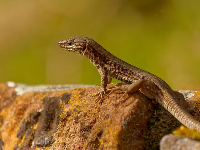 Foto: Eigenes Bild TB