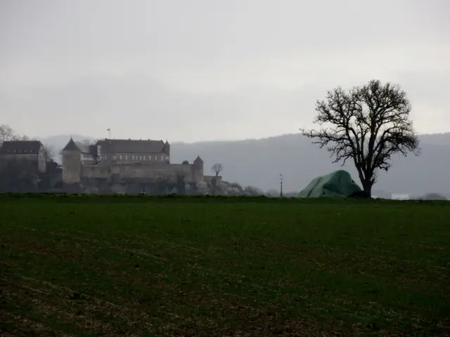Burg Stettenfels von "Donnywood" aus | Foto: WandernGabyErich
