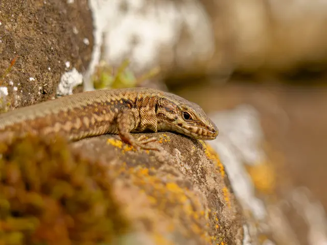 Foto: Eigenes Bild TB